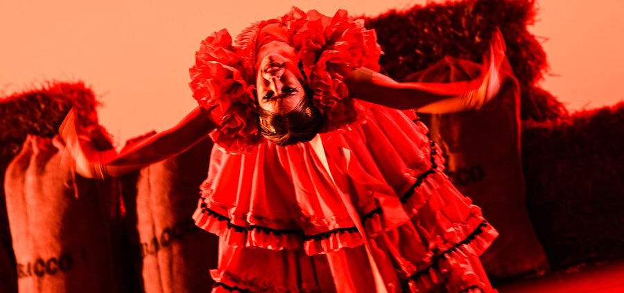 CARMEN - Barcelona Flamenco Ballet ©TMB2025