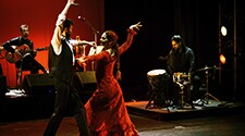 flamenco_passion_oficial_tmb_2021_2